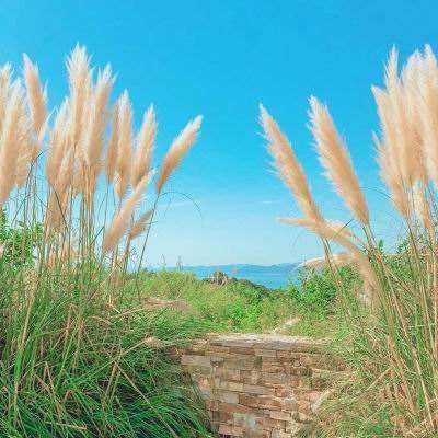 百姓彩票Welcome·官方网站