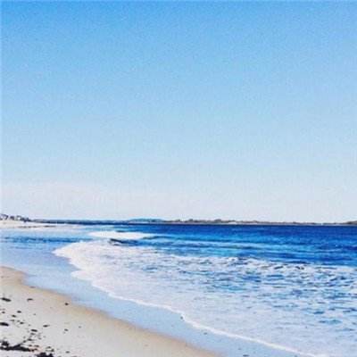 狗万官网手机app下载