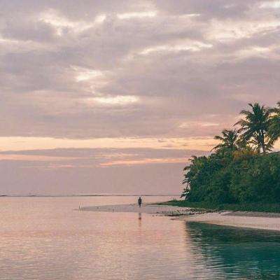 kaiyun登录入口登录