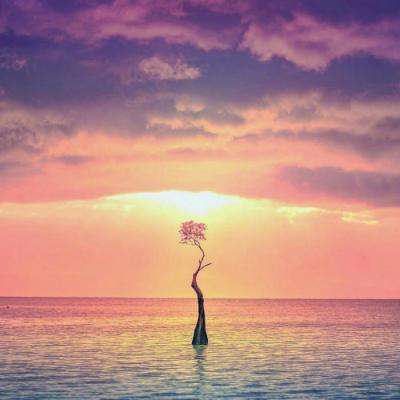 关于“开云电竞APP”手机app下载